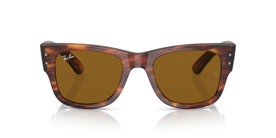 Ray-Ban MEGA WAYFARER – UNISEX