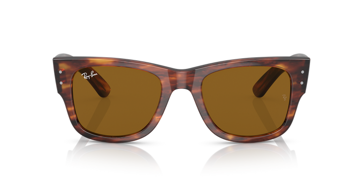 Ray-Ban MEGA WAYFARER – UNISEX