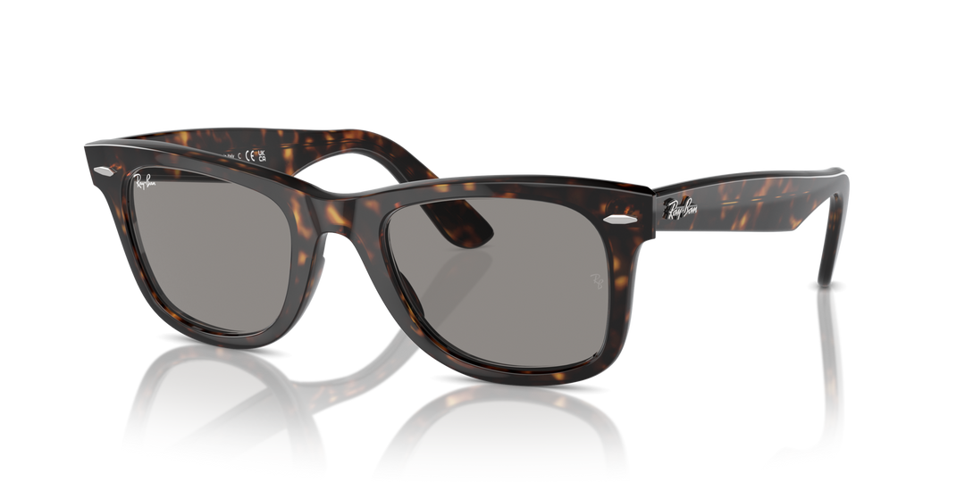 Ray-Ban WAYFARER – UNISEX