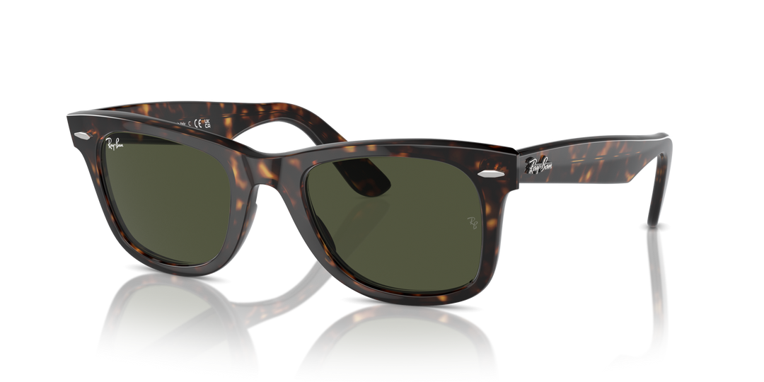 Ray-Ban NEW WAYFARER – UNISEX