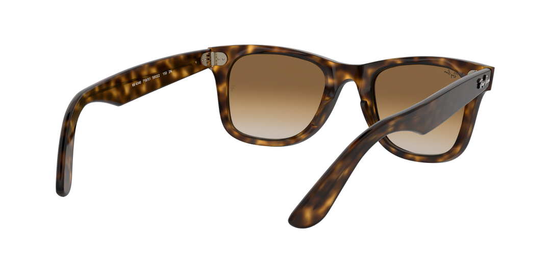 Ray-Ban WAYFARER EASE – UNISEX