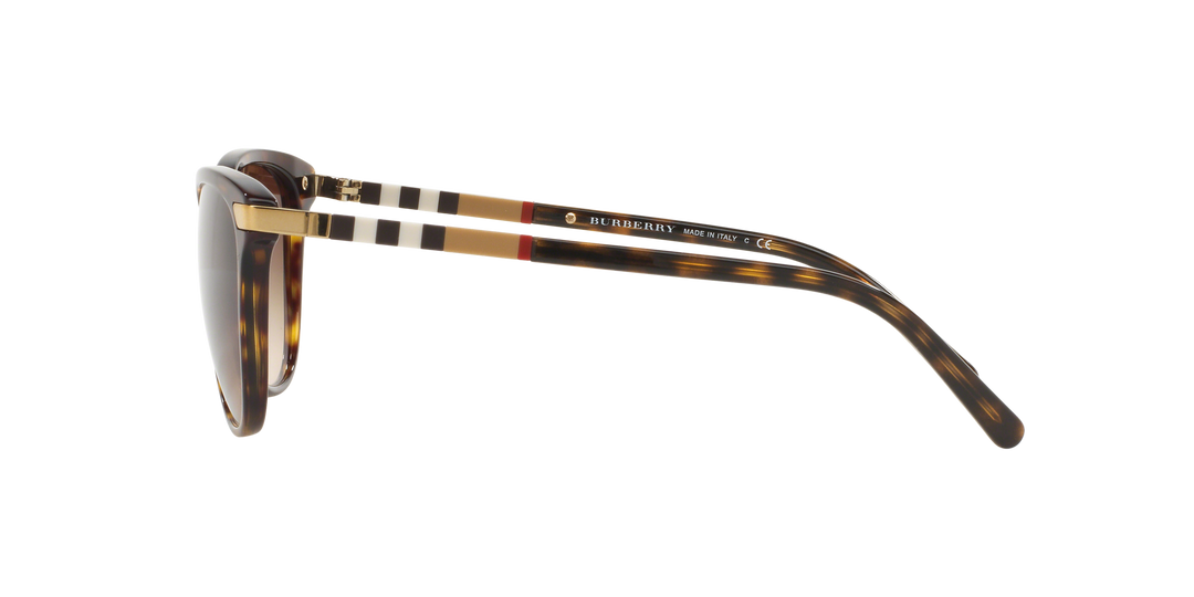 Burberry Havana Scuro