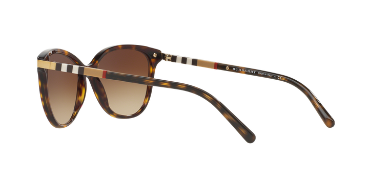 Burberry Havana Scuro