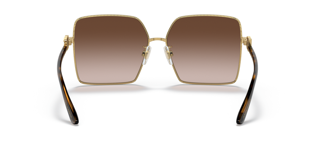 DOLCE & GABBANA 0DG2279 02/13