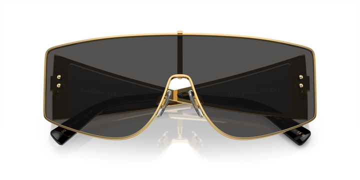 DOLCE & GABBANA 0DG2305 02/87