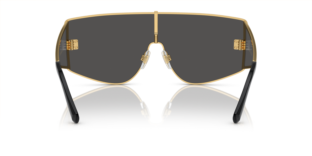 DOLCE & GABBANA 0DG2305 02/87