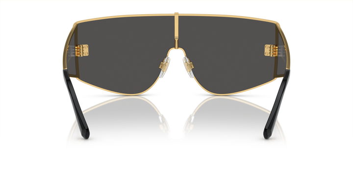 DOLCE & GABBANA 0DG2305 02/87