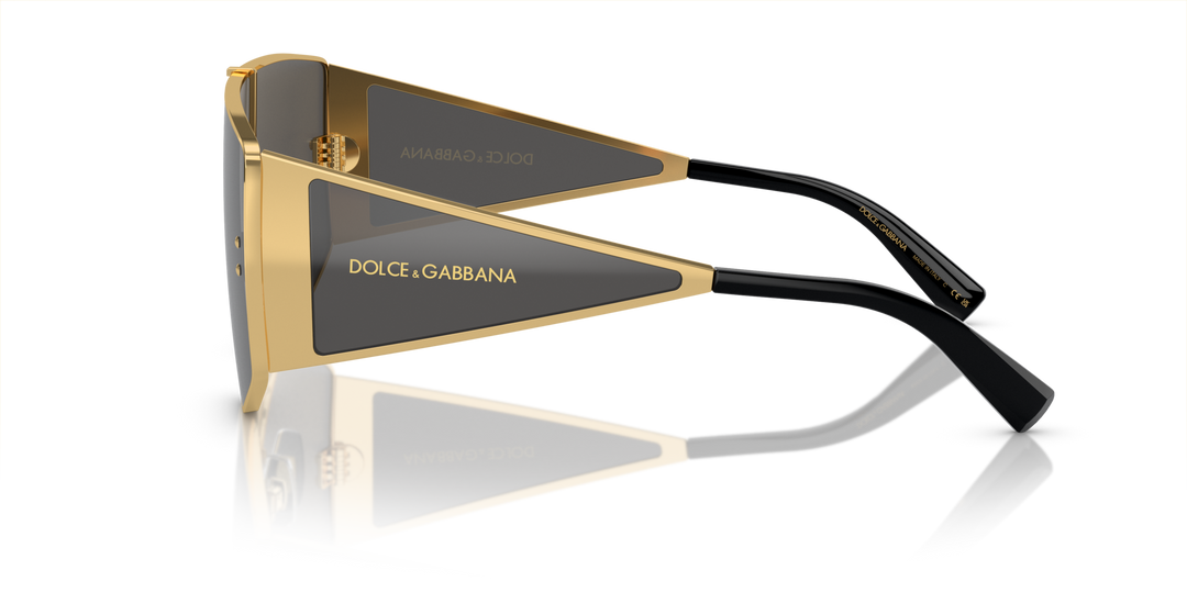 DOLCE & GABBANA 0DG2305 02/87