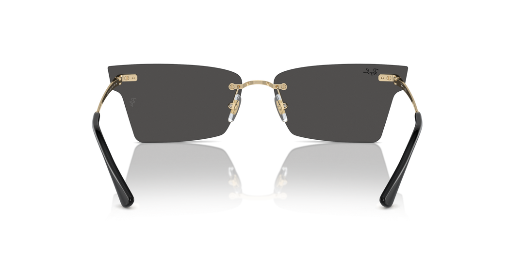 Ray-Ban XIME – UNISEX