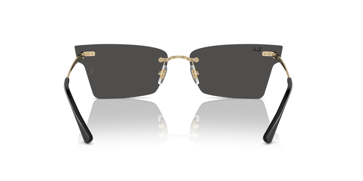 Ray-Ban XIME – UNISEX