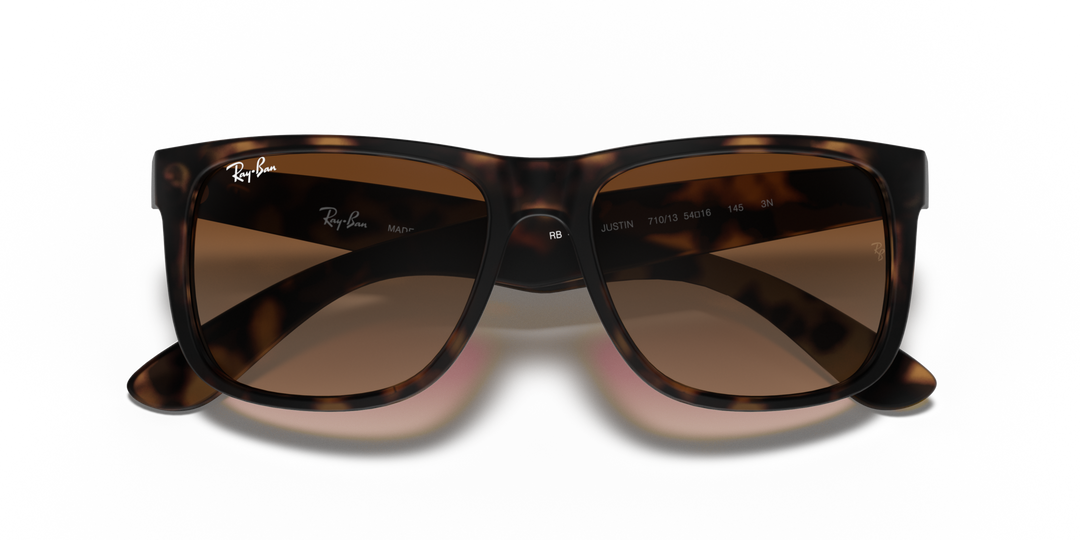 Ray-Ban JUSTIN