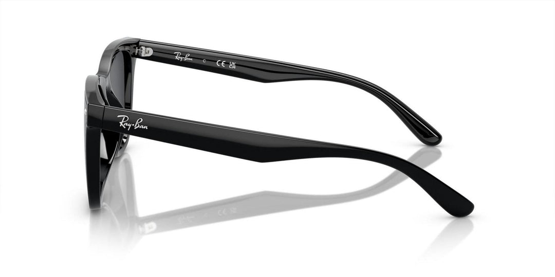 Ray-Ban UNISEX