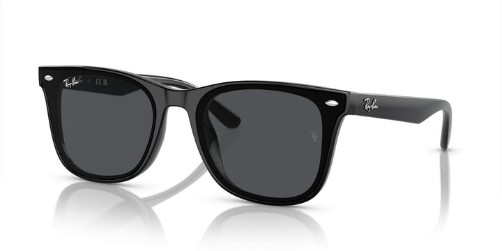 Ray-Ban UNISEX