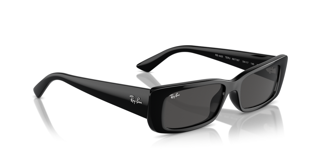 Ray-Ban TERU – UNISEX