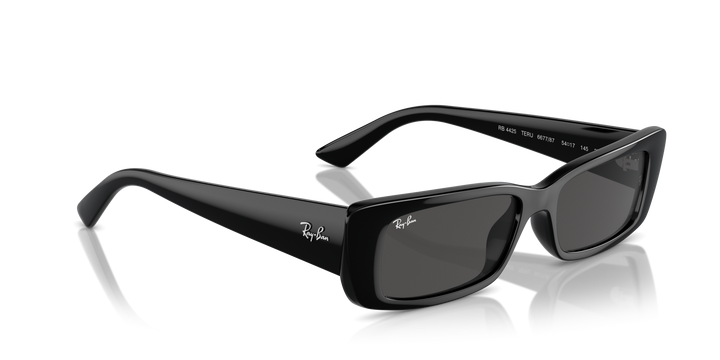 Ray-Ban TERU – UNISEX