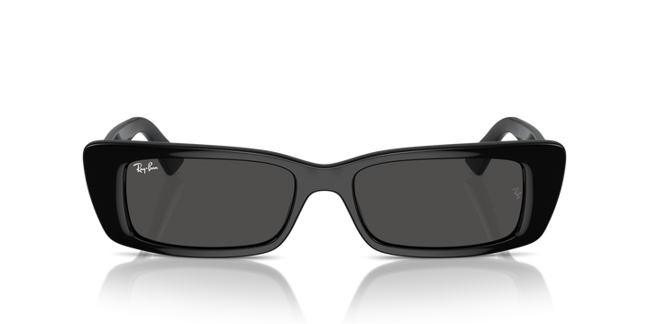 Ray-Ban TERU – UNISEX