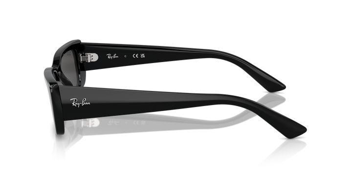 Ray-Ban TERU – UNISEX