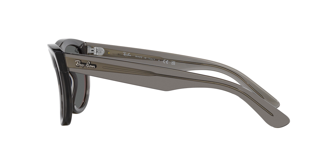 Ray-Ban WAYFARER REVERSE – UNISEX