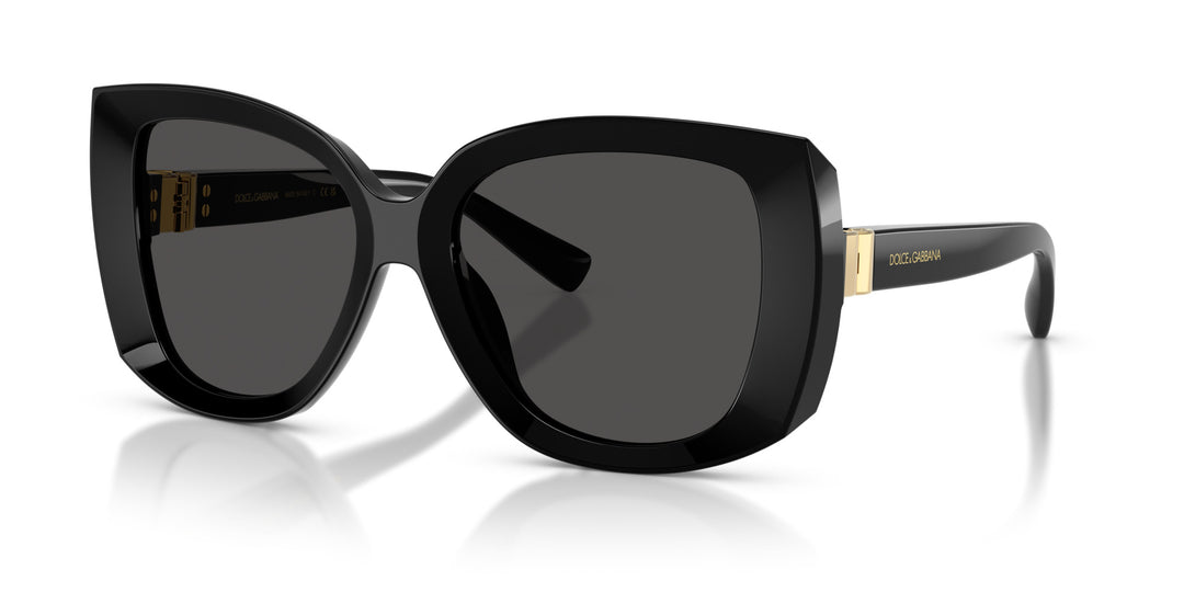 DOLCE & GABBANA 0DG4495 501/87
