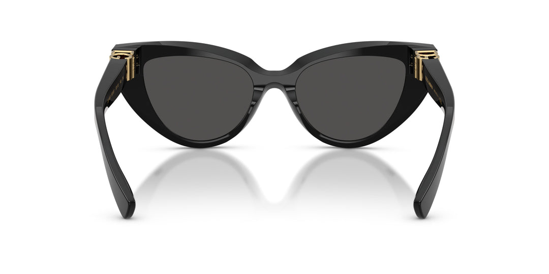 DOLCE & GABBANA 0DG4497 501/87