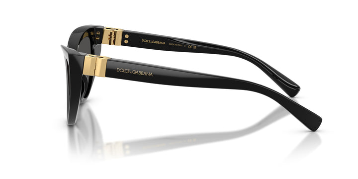 DOLCE & GABBANA 0DG4497 501/87