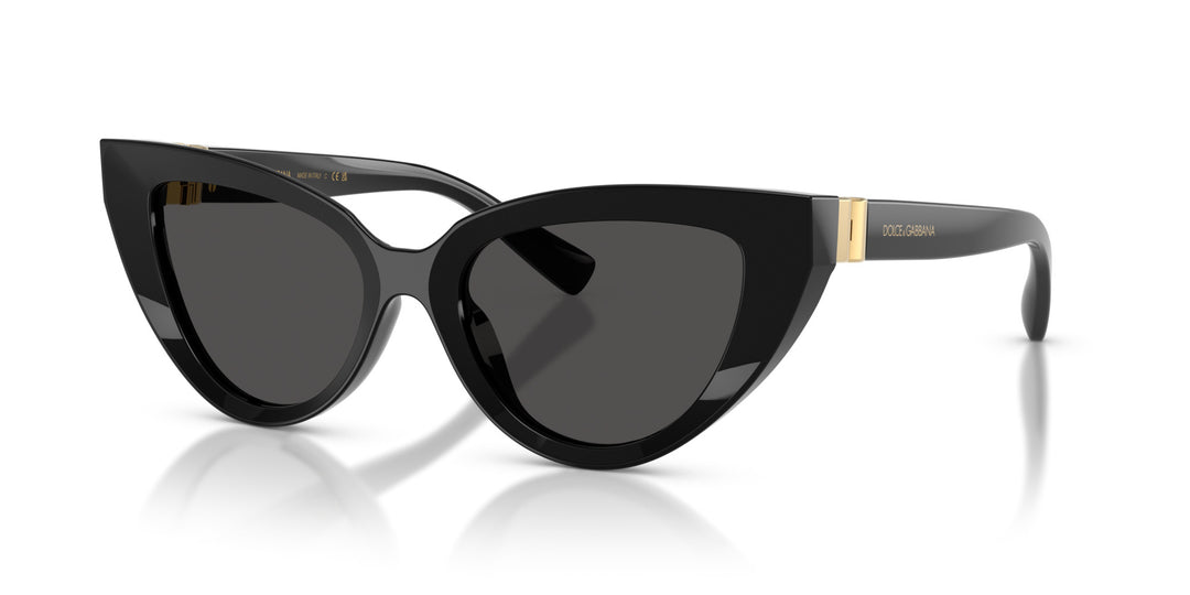 DOLCE & GABBANA 0DG4497 501/87