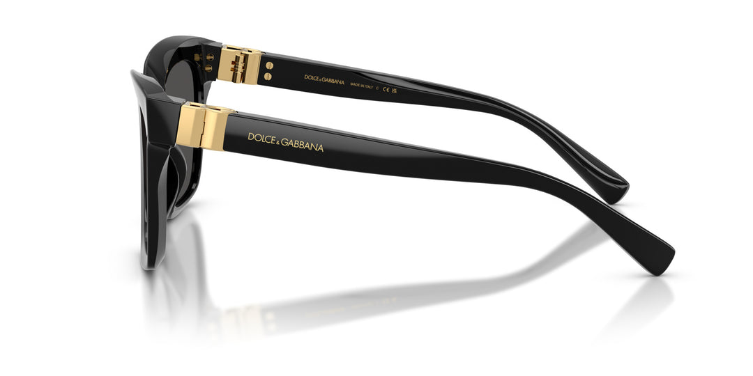 DOLCE & GABBANA 0DG4498 501/87