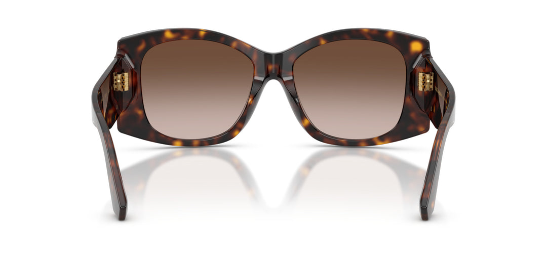 DOLCE & GABBANA 0DG4501 502/13