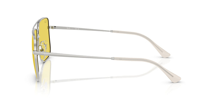 Ray-Ban ARI UNISEX