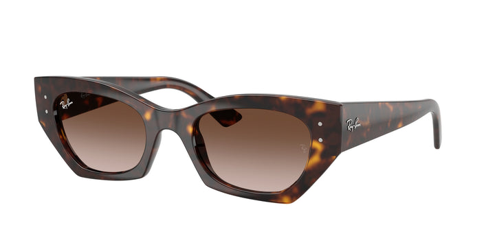 Ray-Ban ZENA UNISEX