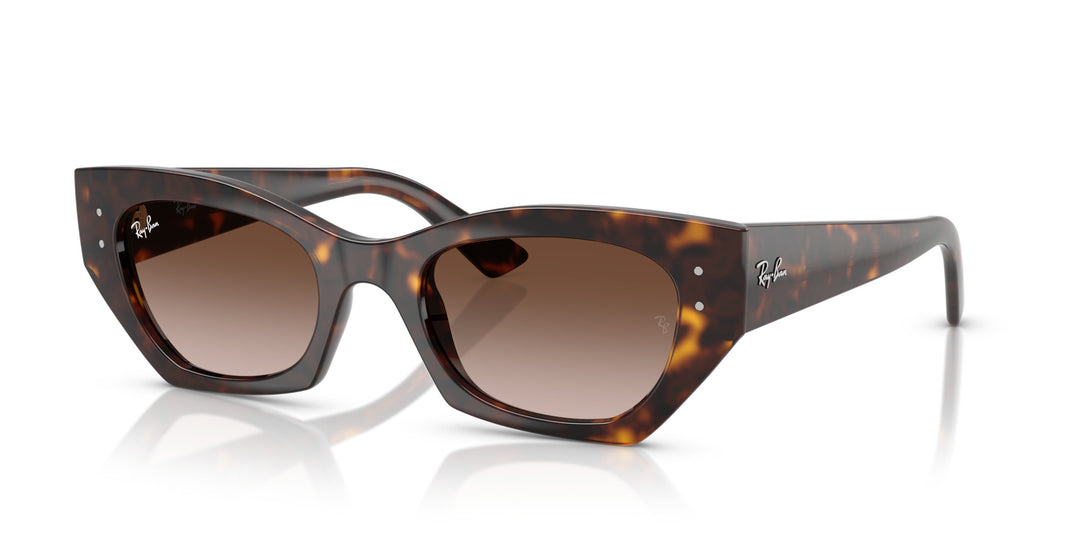 Ray-Ban ZENA UNISEX