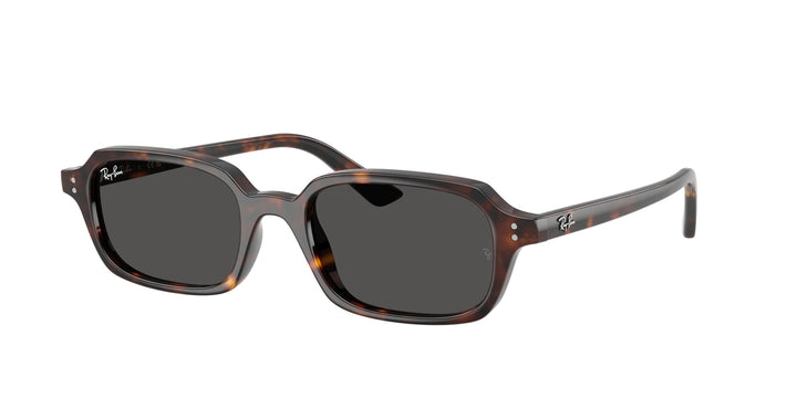 Ray-Ban ZURI UNISEX