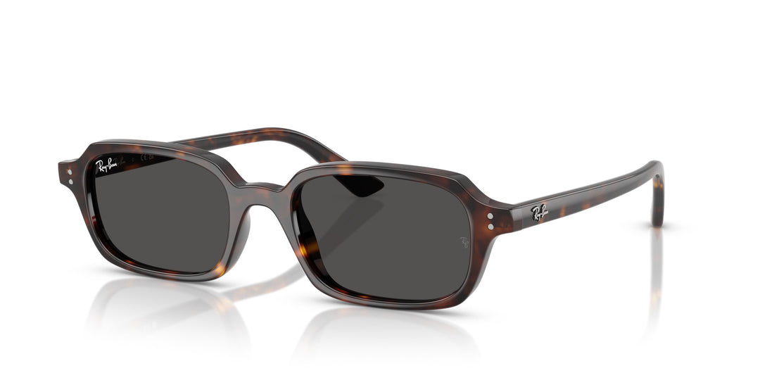 Ray-Ban ZURI UNISEX