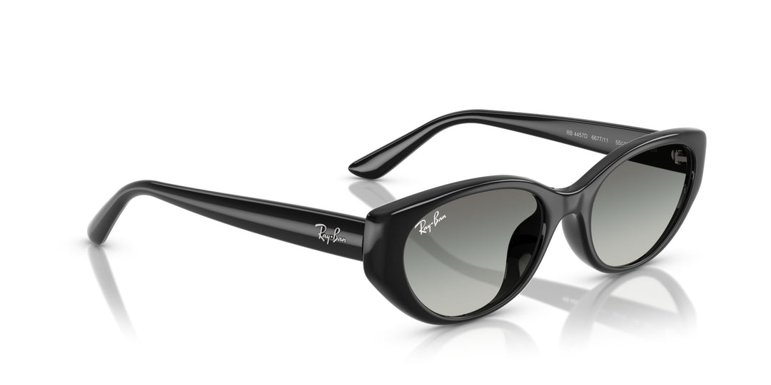 Ray-Ban UNISEX