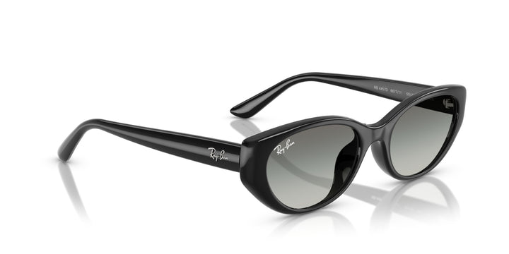Ray-Ban UNISEX