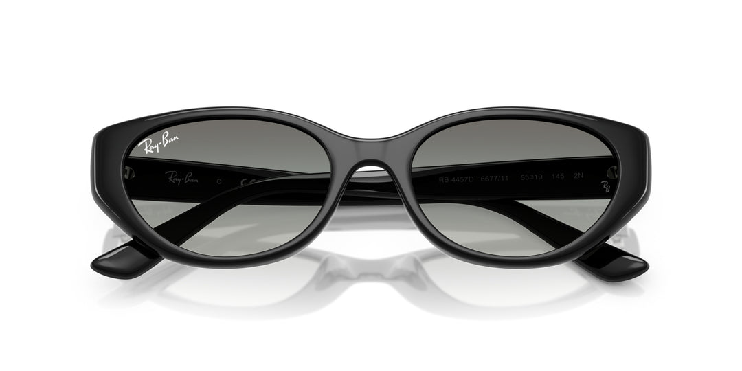 Ray-Ban UNISEX