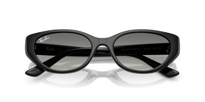 Ray-Ban UNISEX