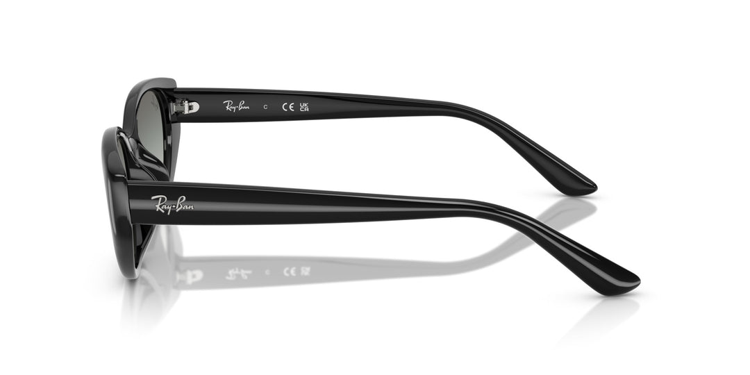Ray-Ban UNISEX