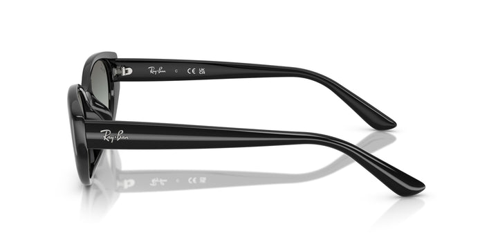 Ray-Ban UNISEX