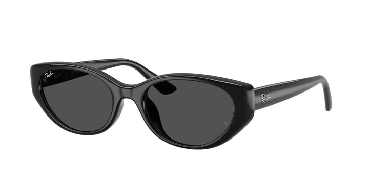 Ray-Ban UNISEX