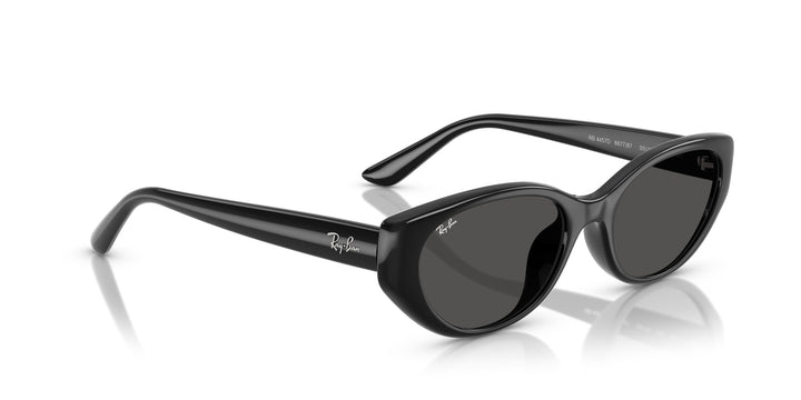 Ray-Ban UNISEX