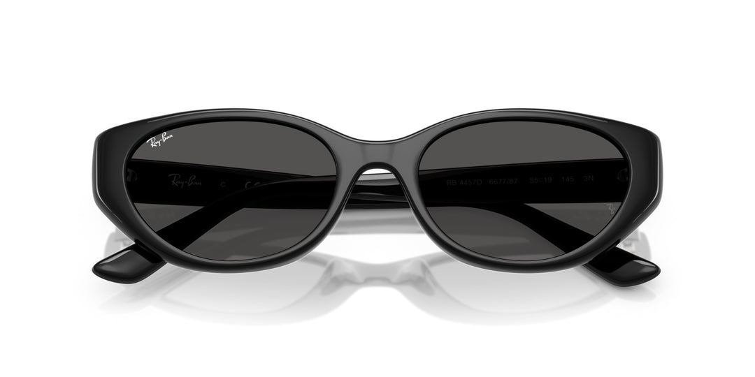 Ray-Ban UNISEX