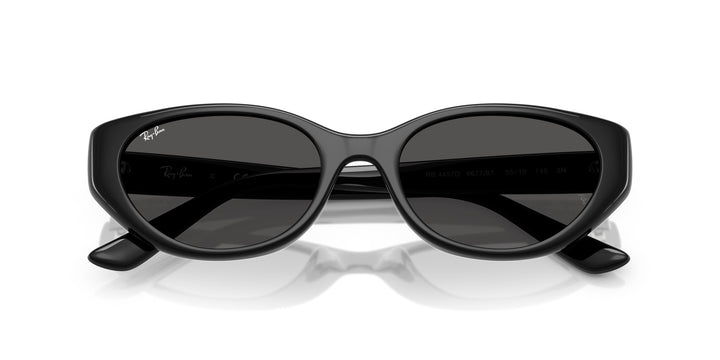 Ray-Ban UNISEX