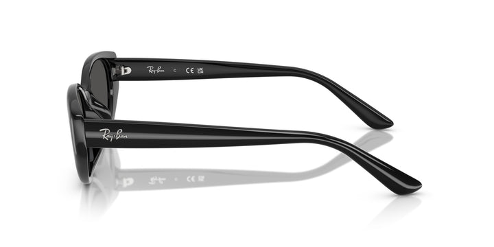Ray-Ban UNISEX