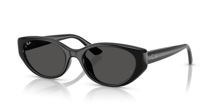 Ray-Ban UNISEX