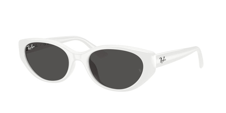 Ray-Ban UNISEX
