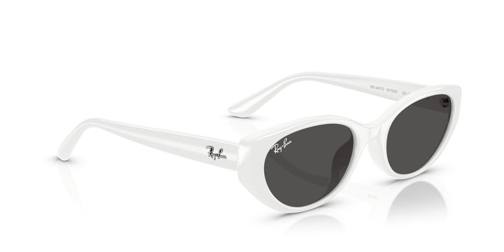 Ray-Ban UNISEX