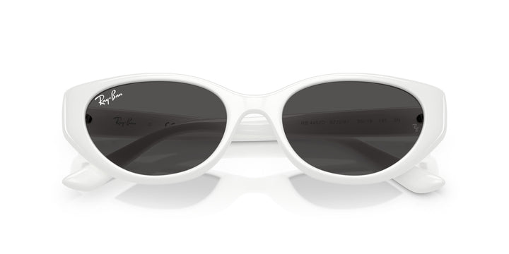 Ray-Ban UNISEX