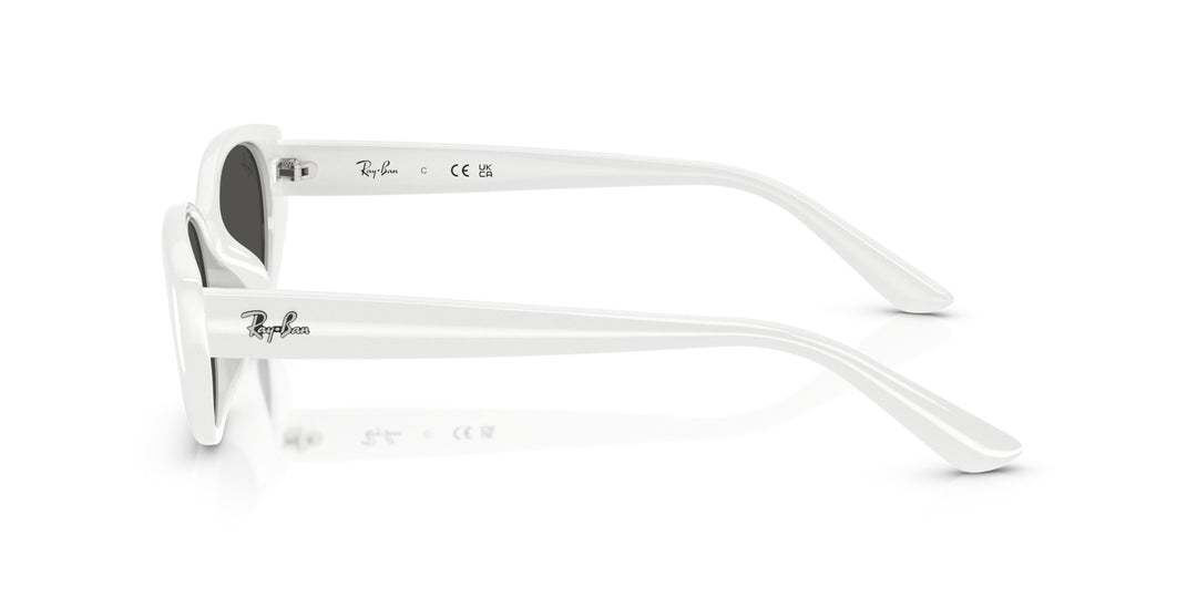 Ray-Ban UNISEX