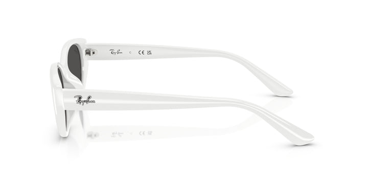 Ray-Ban UNISEX